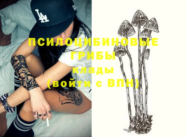 молекула духа Алексин