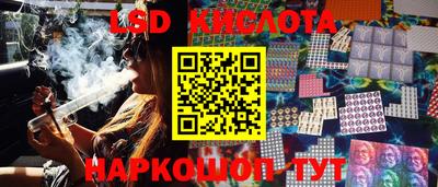 прущие грибы Комсомольск-на-Амуре