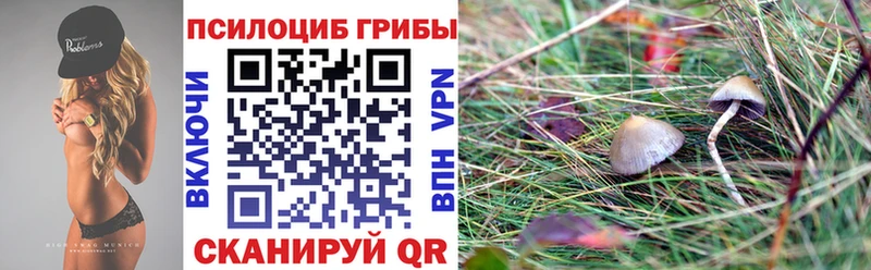 Псилоцибиновые грибы Magic Shrooms ссылка на мегу ТОР Гурьевск