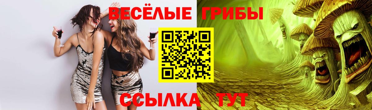 Гурьевск  Галлюциногенные грибы прущие грибы  Вход с VPN 
